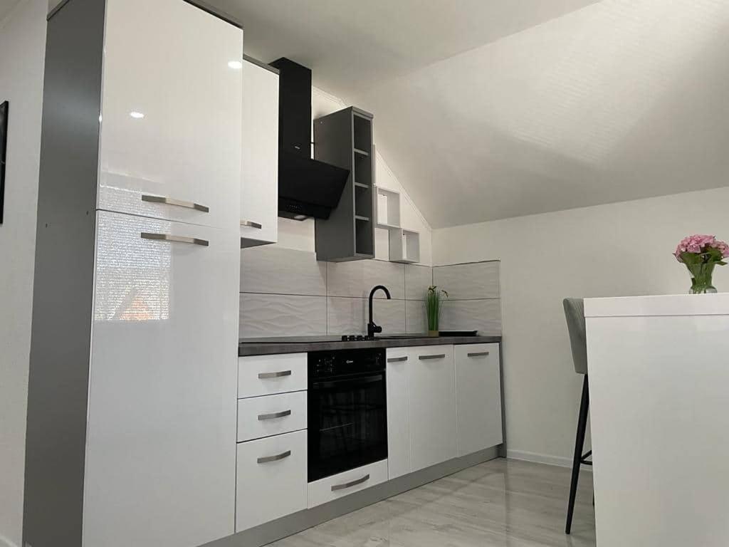 Apartman Pavenka โอโทชาส ภายนอก รูปภาพ
